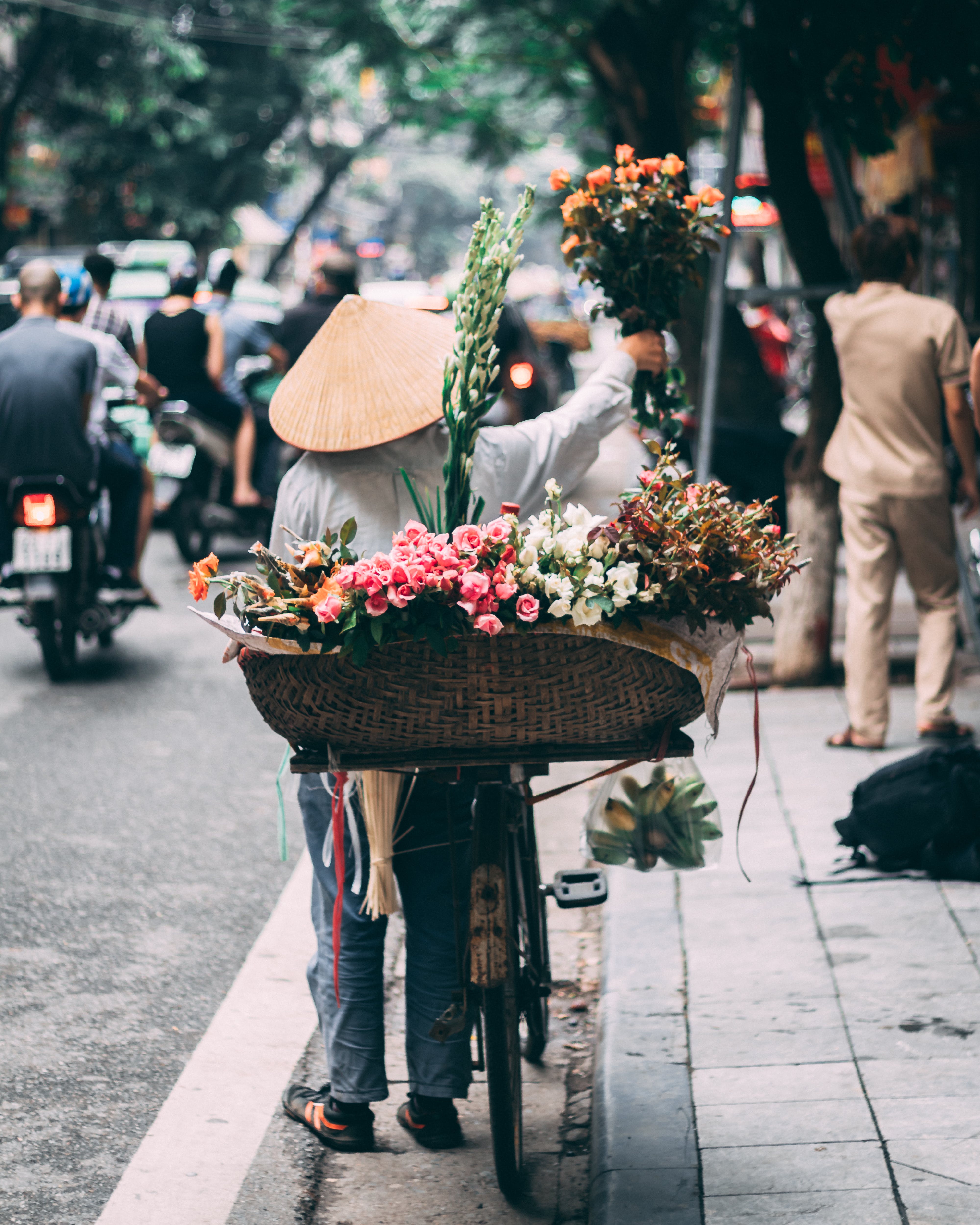Vietnam Visa for the Mahorais Requirements, Process, and Options